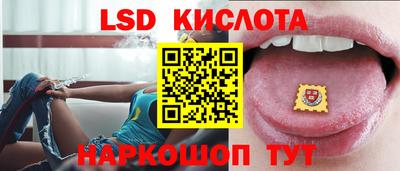 стафф Славгород