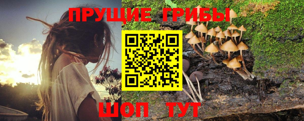 Псков  Галлюциногенные грибы ЛСД  Галлюциногенные грибы MAGIC MUSHROOMS  купить  цена  Вход с VPN 