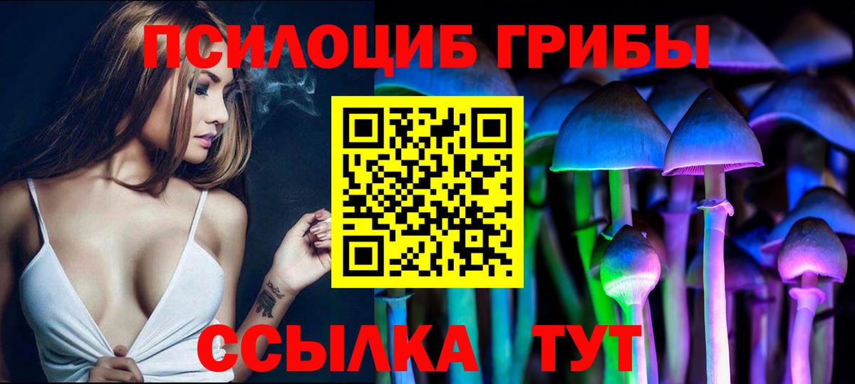 Псилоцибиновые грибы MAGIC MUSHROOMS Псков